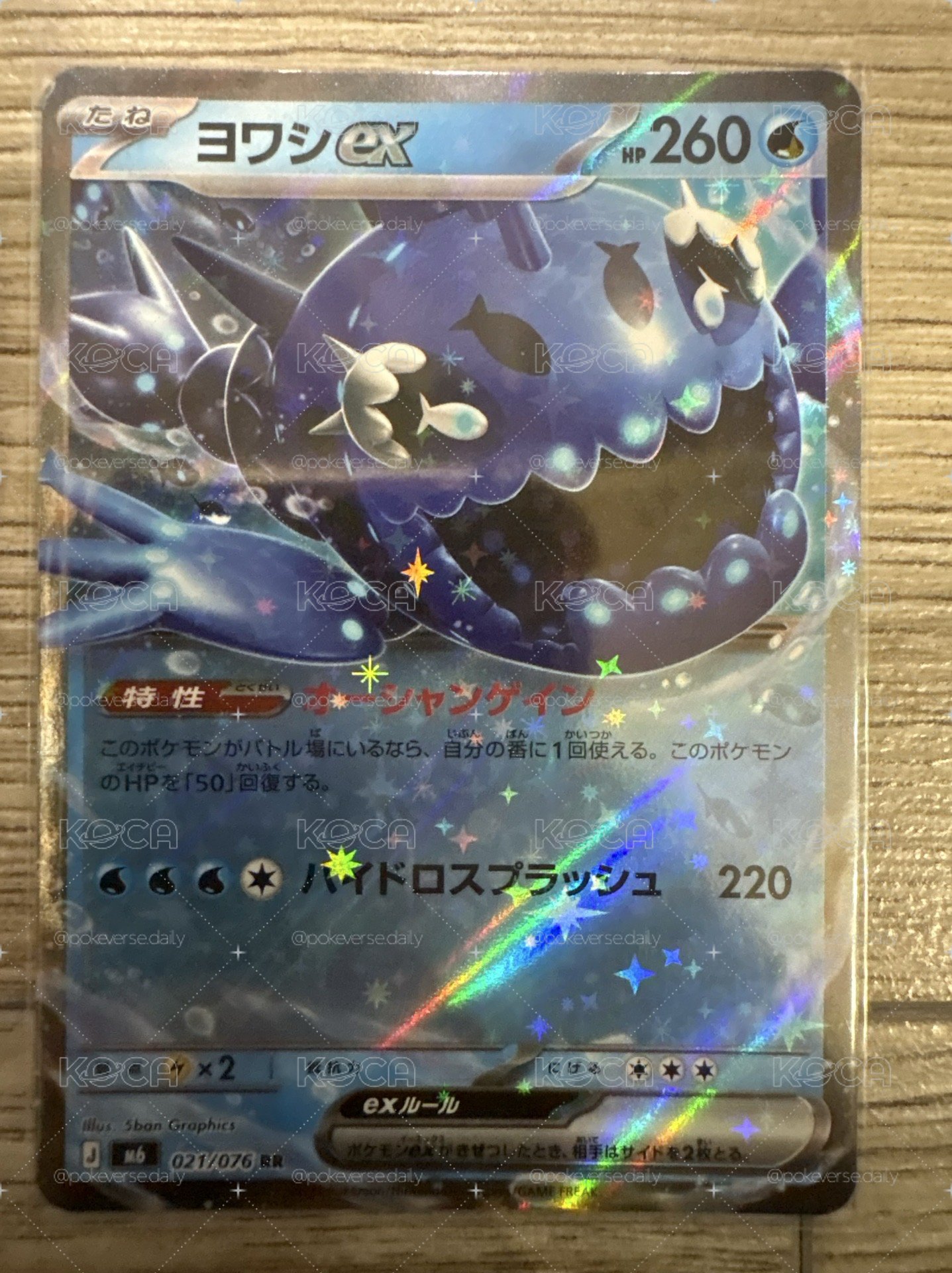 弱丁魚