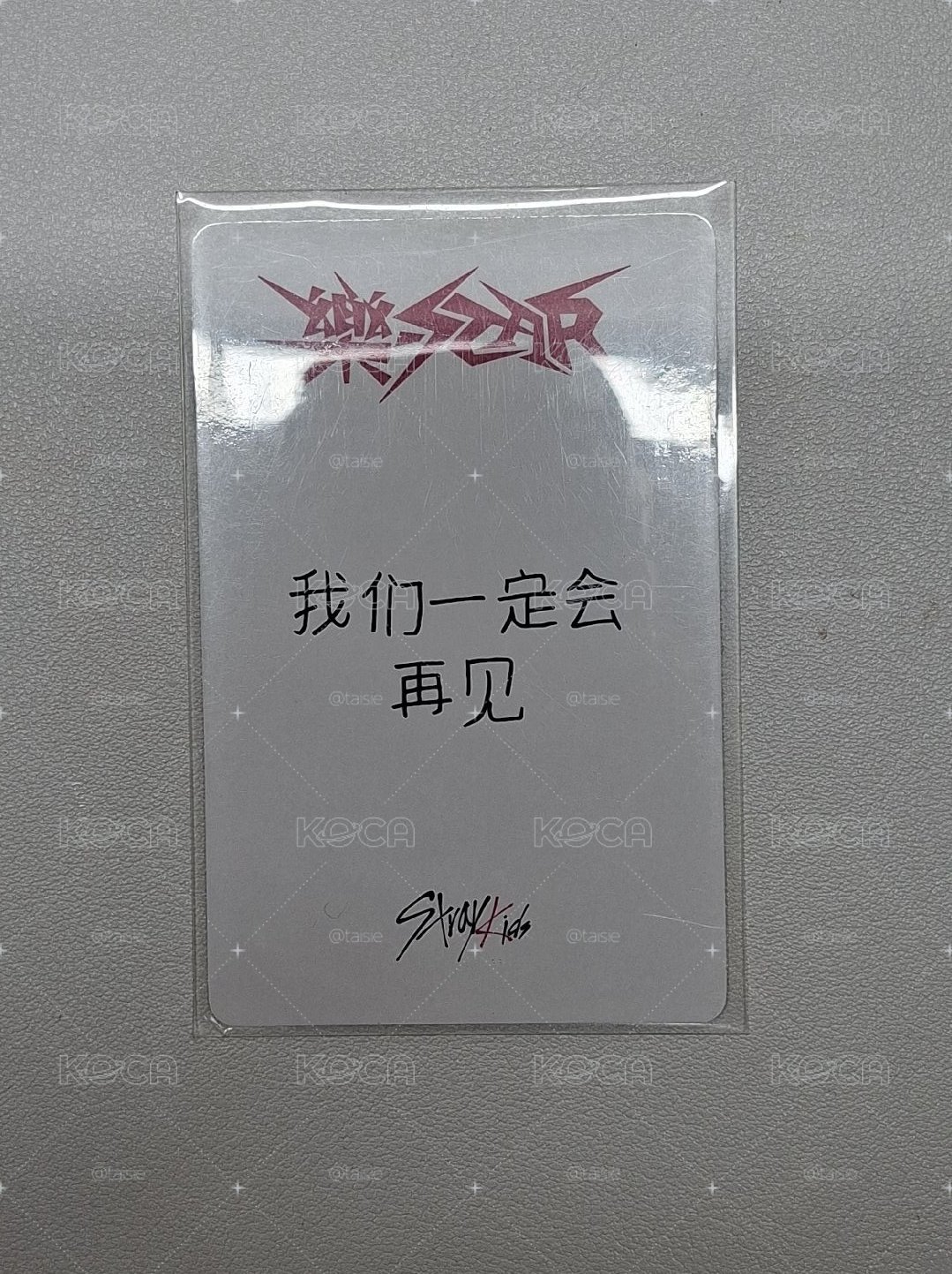 燦中背 我們一定會再見