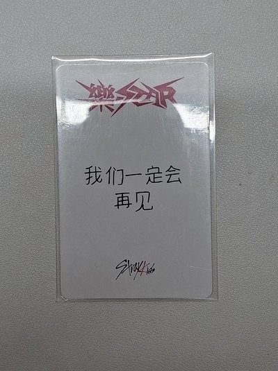 燦中背 我們一定會再見