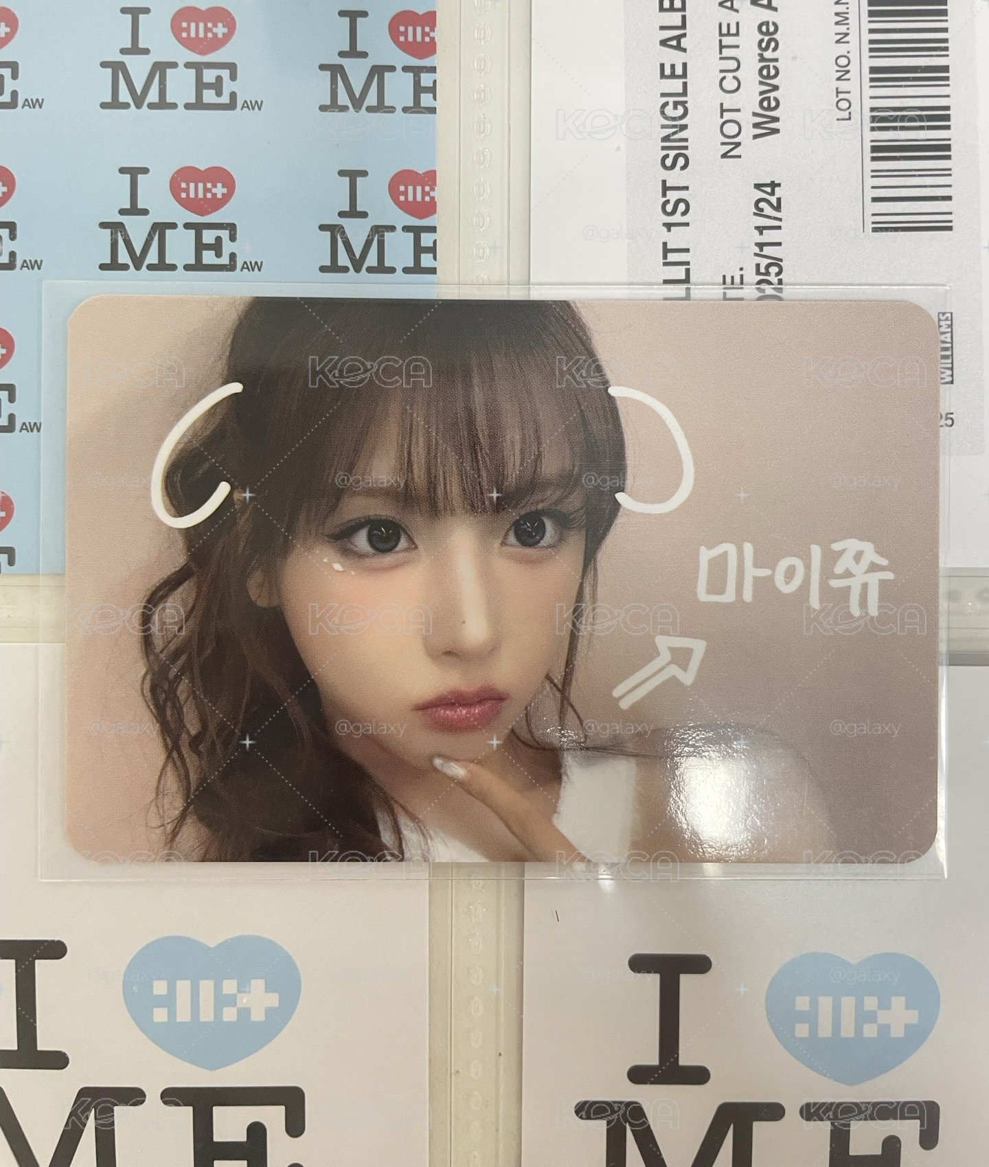 寵物鏡頭友