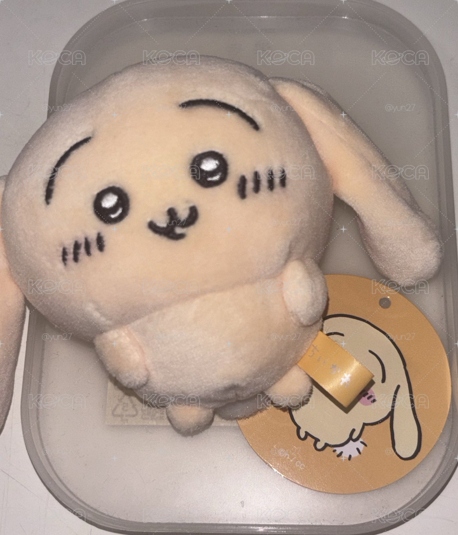 垂耳烏薩琪
