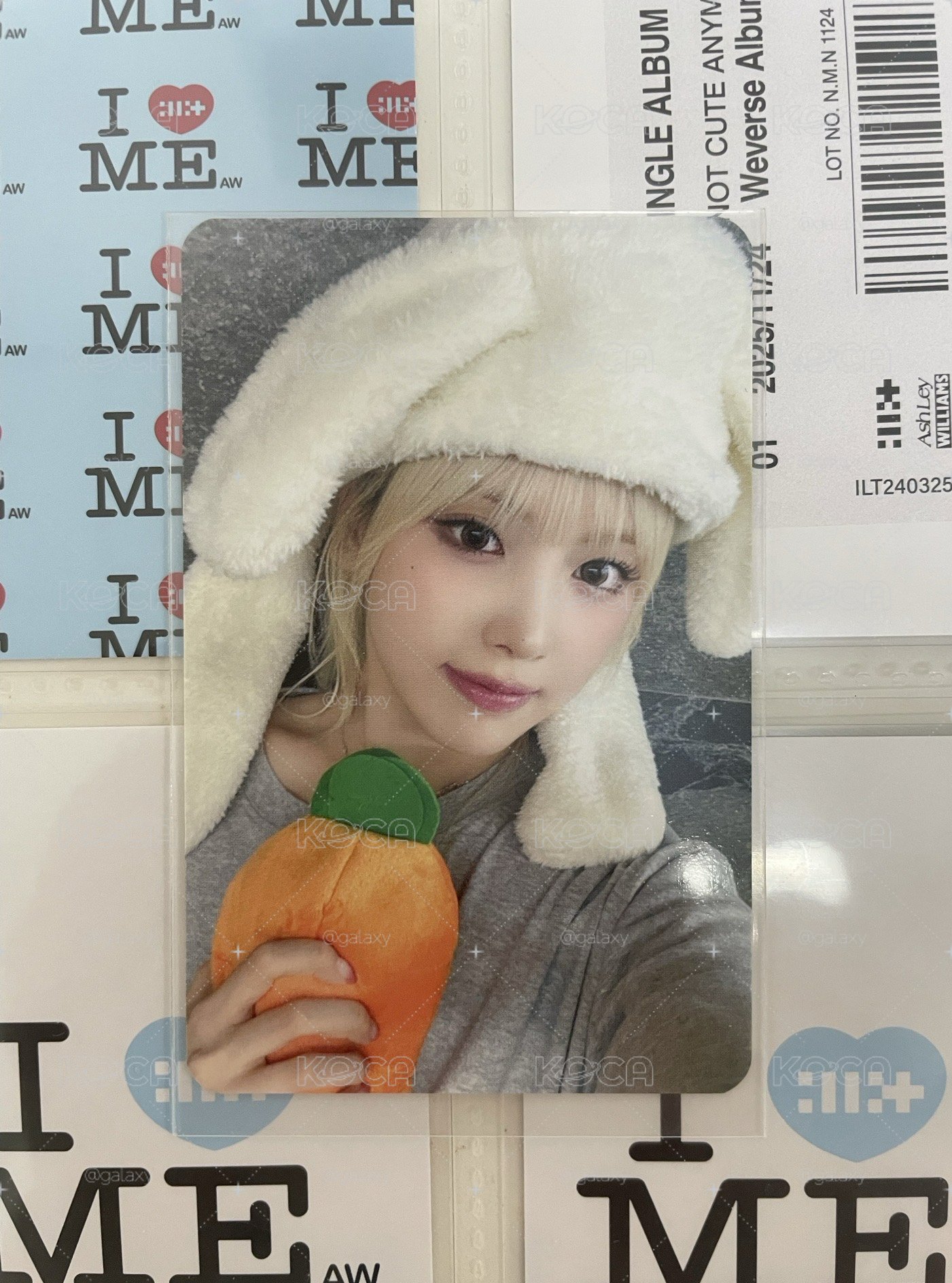 胡蘿蔔友