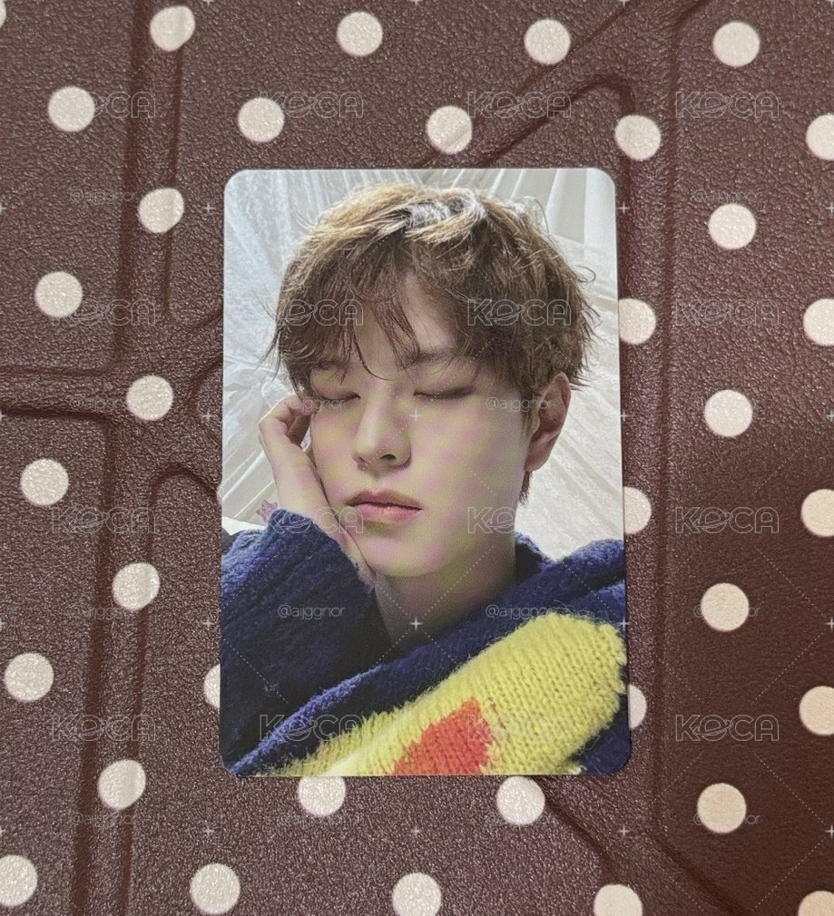 💤🐶睡袋小卡