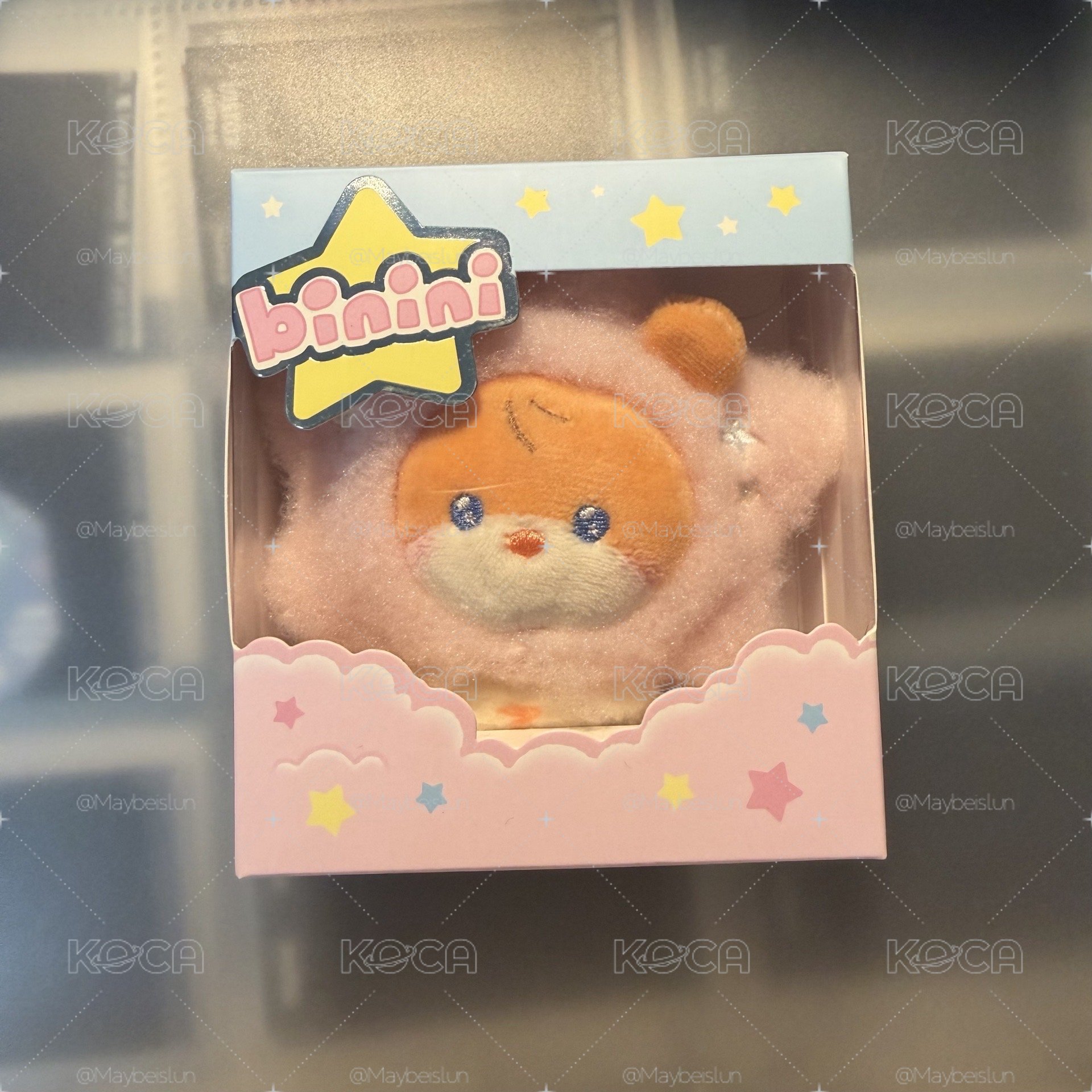 成韓彬 星星娃