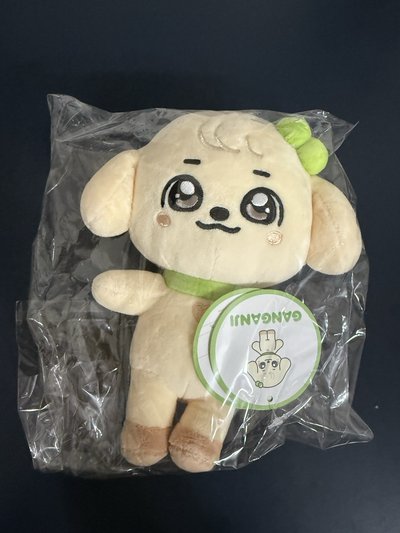 IVE minive 初販 20cm 娃娃 兪真