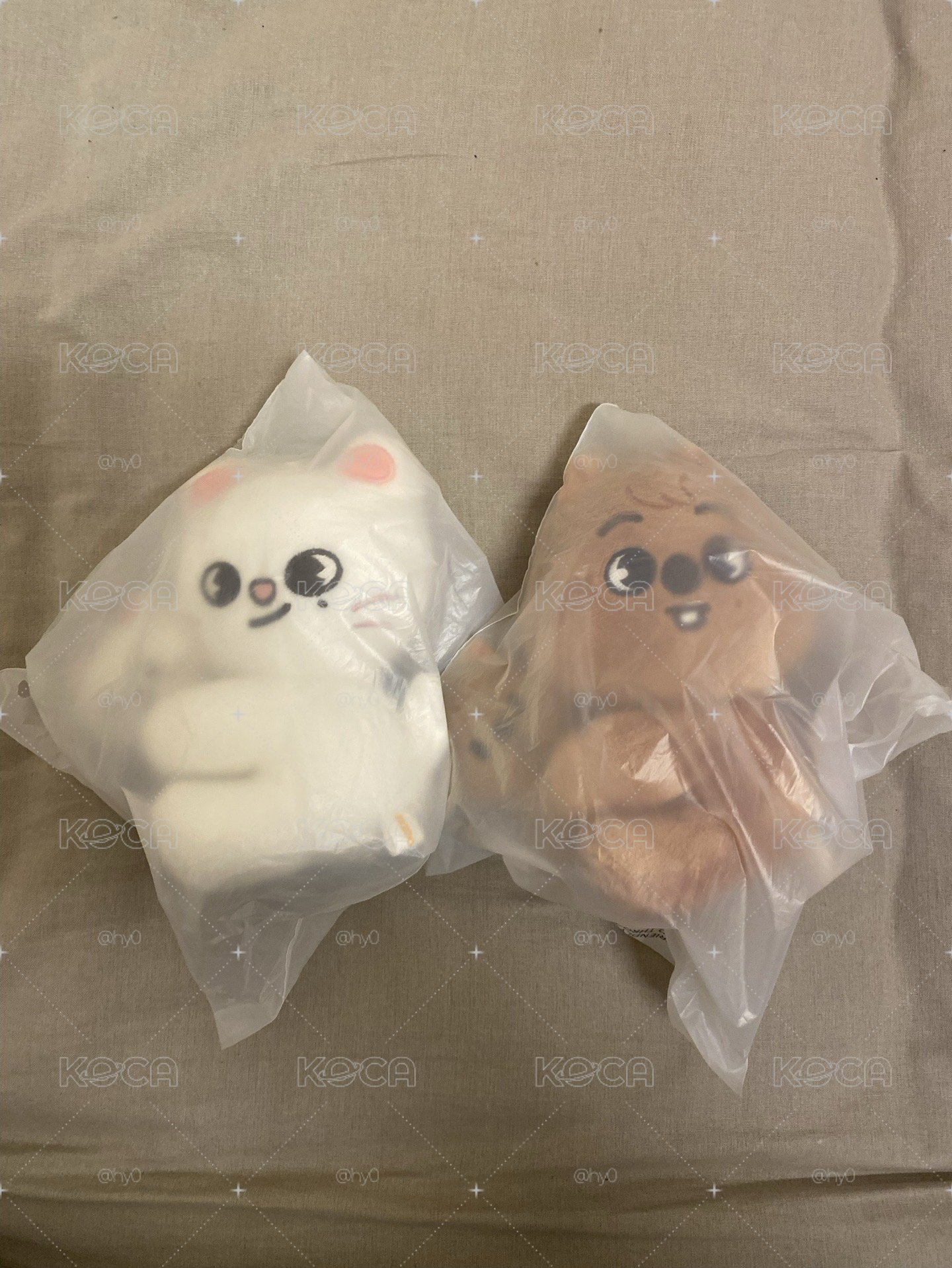 迷抱抱娃