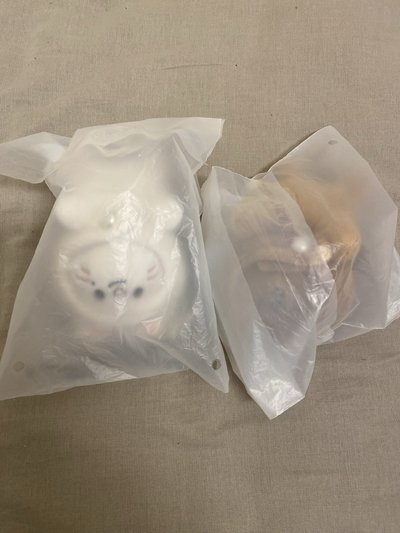 迷趴娃