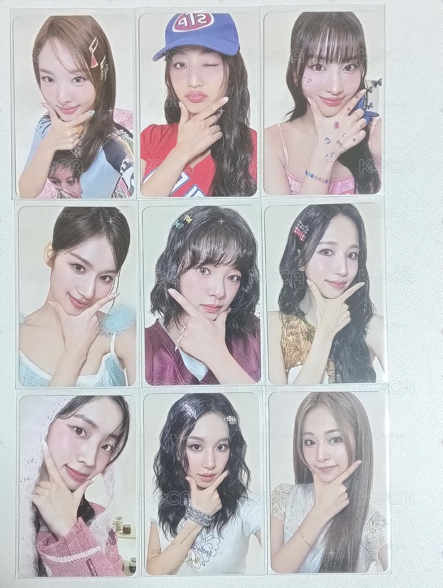 兔