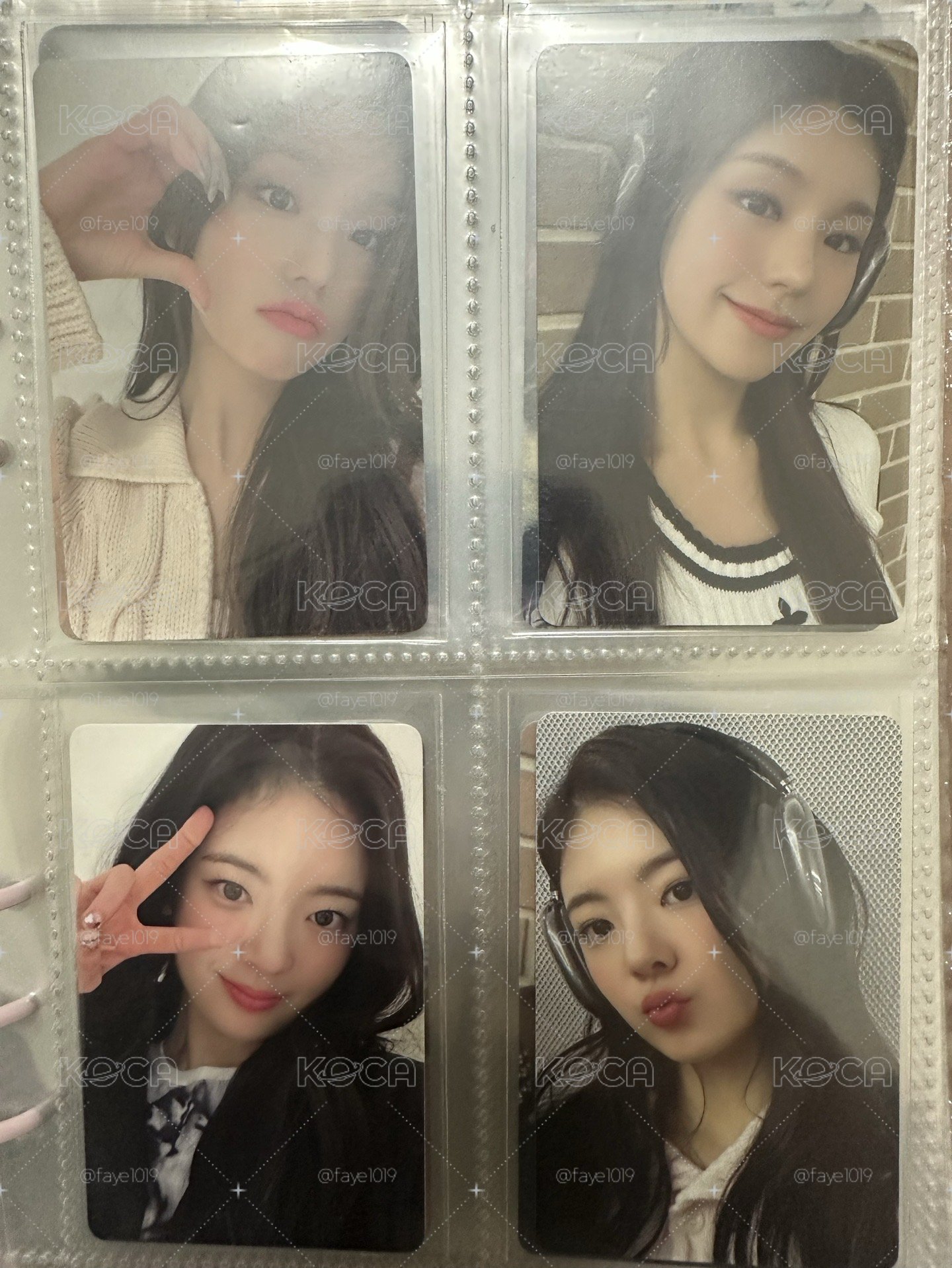ITZY 柴郡貓 WM7.0寵物卡