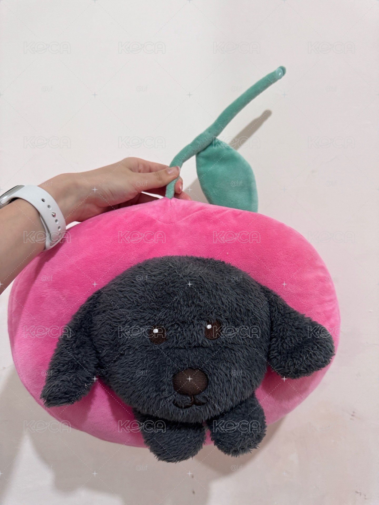 燦烈 扎特多芬櫻桃靠枕 