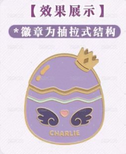 金屬紀念徽章