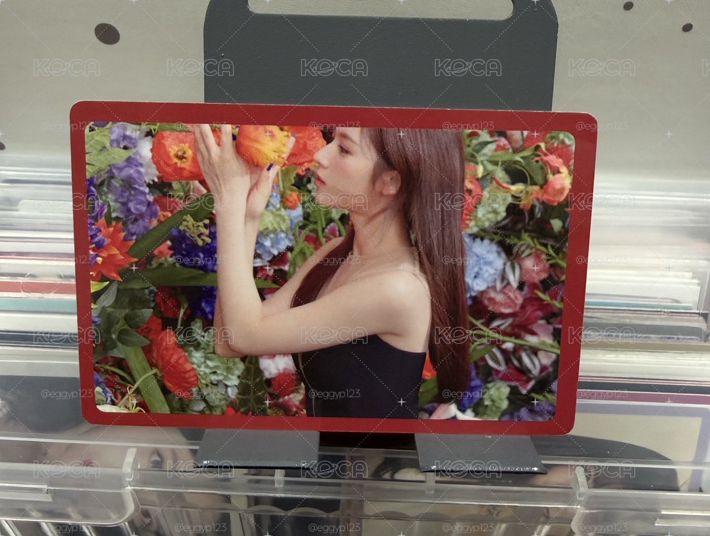 正規2 預售 花花紗