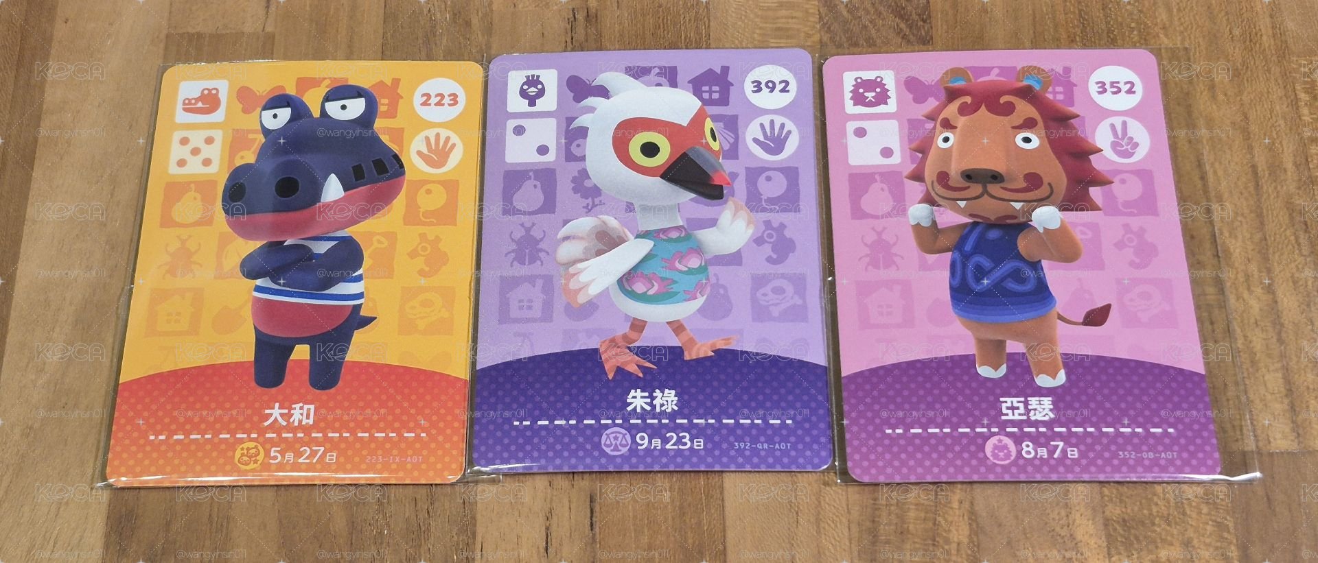 動森 村民阿米波