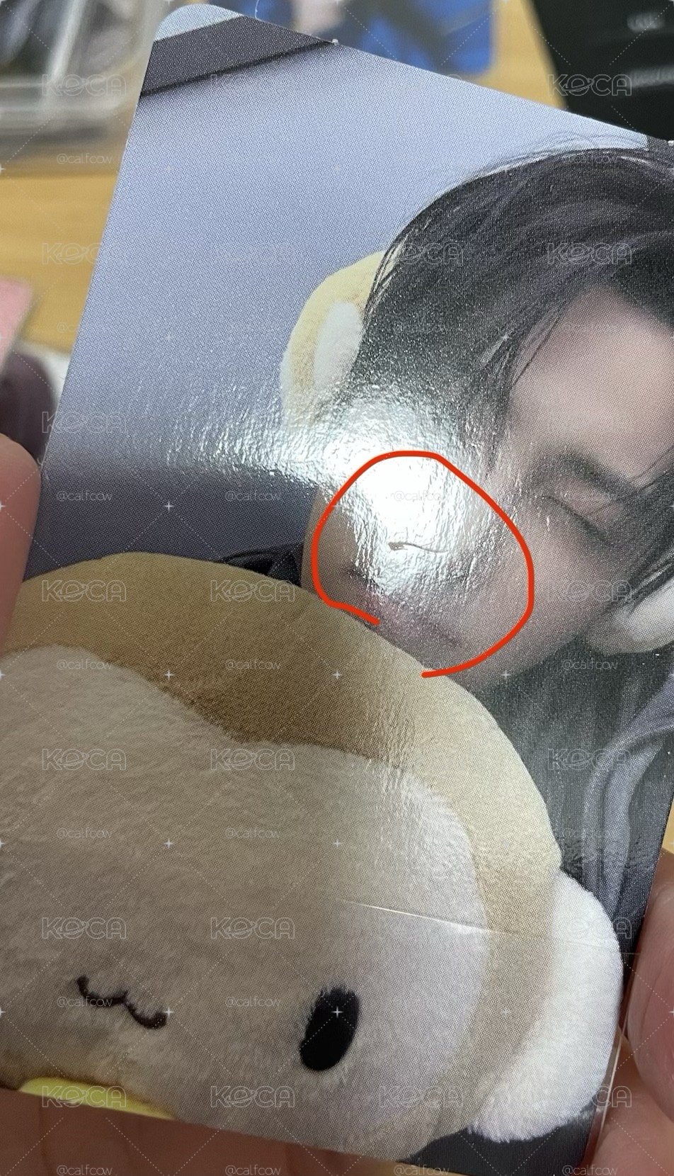 多吃蔬菜多休息最棒的鼠鼠區🐿️