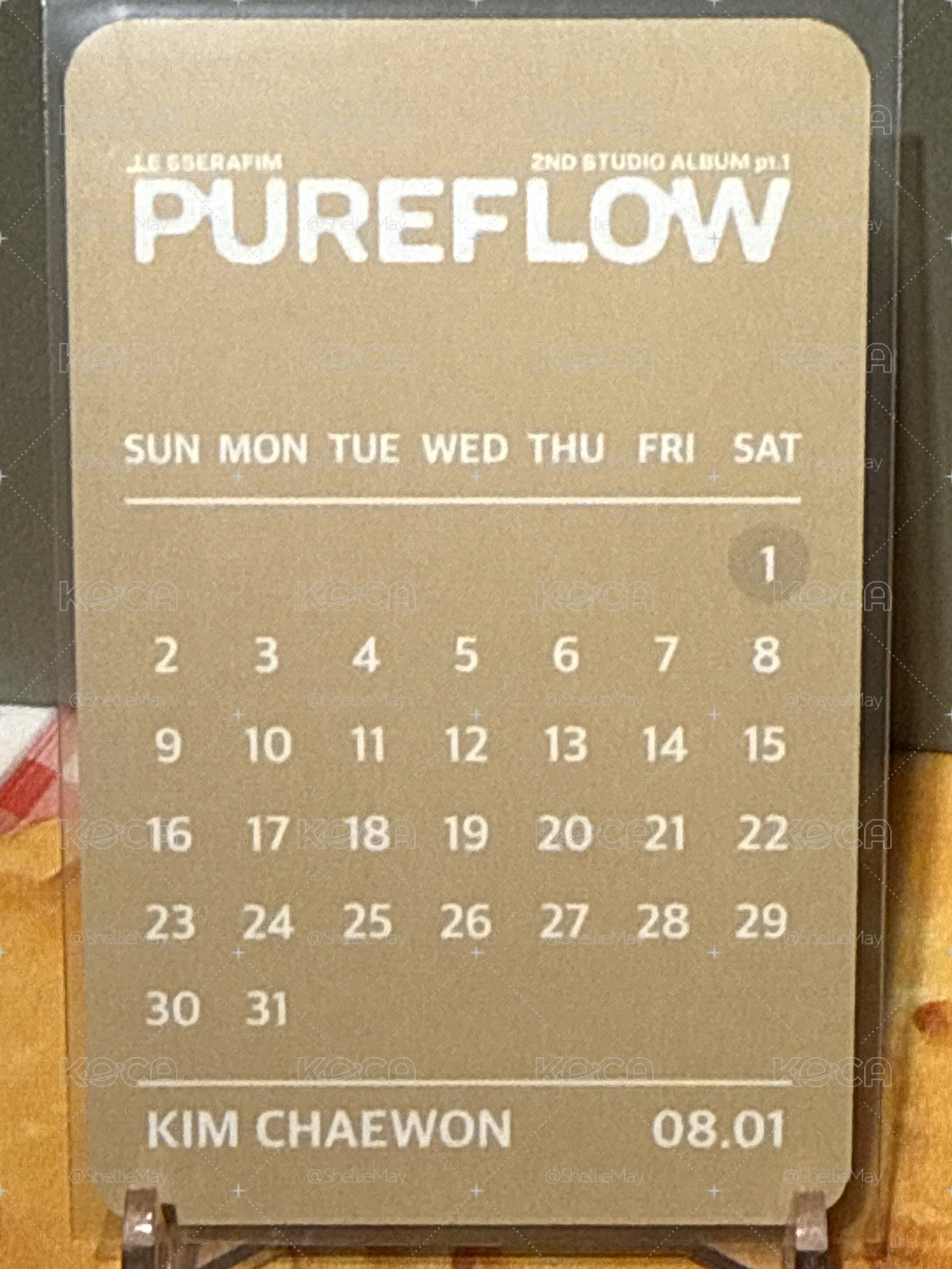 pureflow yes24相機專預售 采（生日卡背）