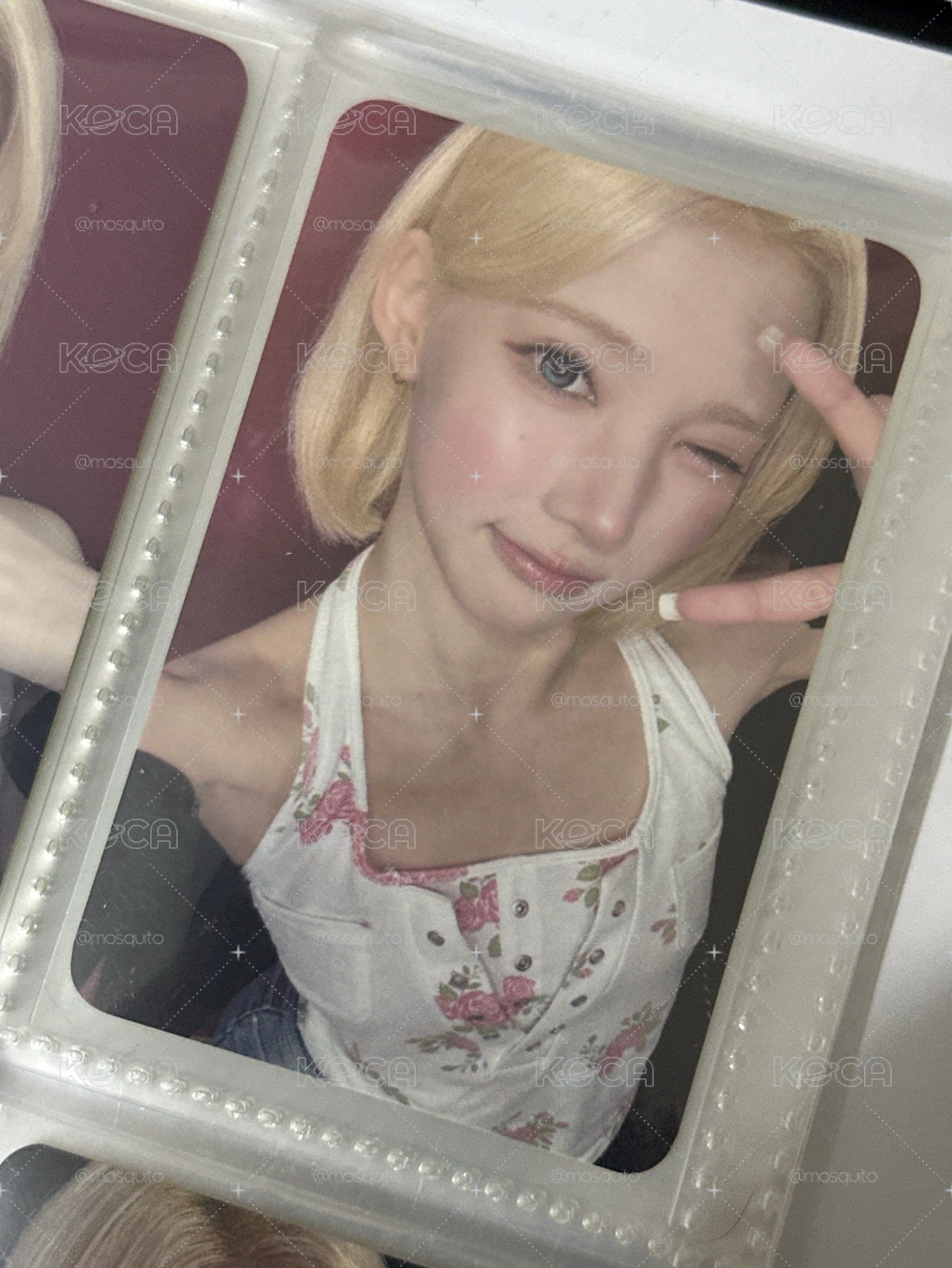 單張
