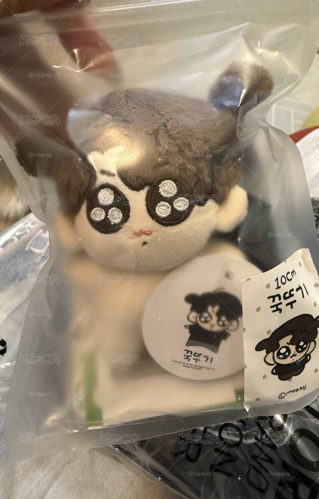 蘑菇老師 柾國娃娃 10cm 全新 含基本衣服