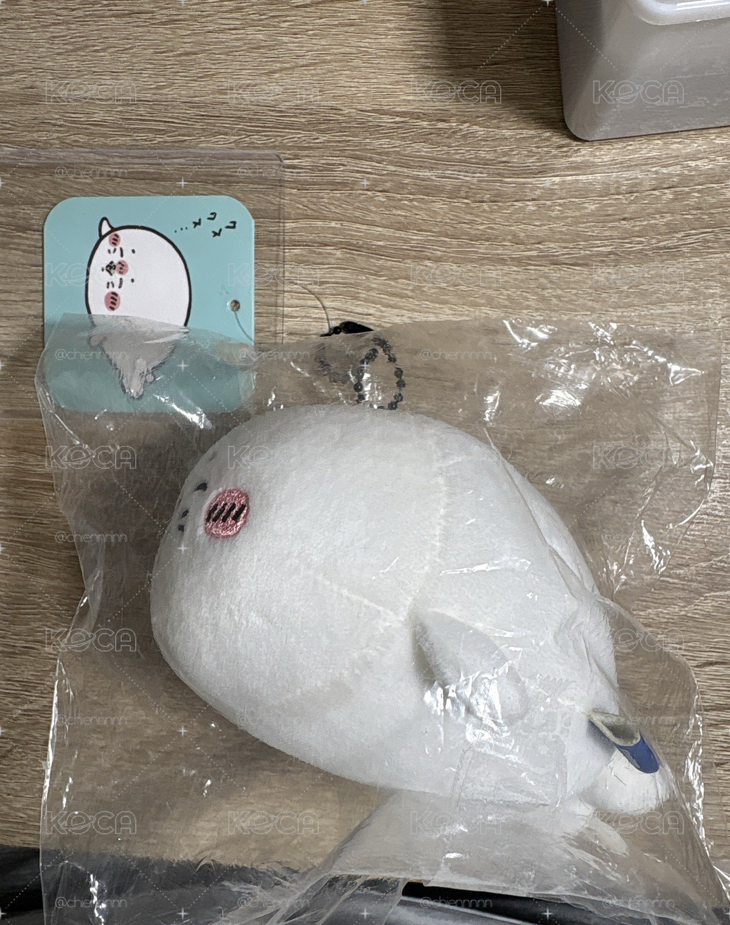 軟萌小海豹🦭