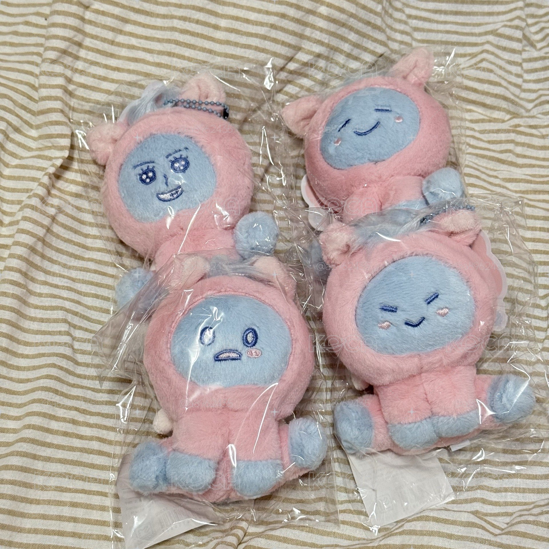 赤兔馬