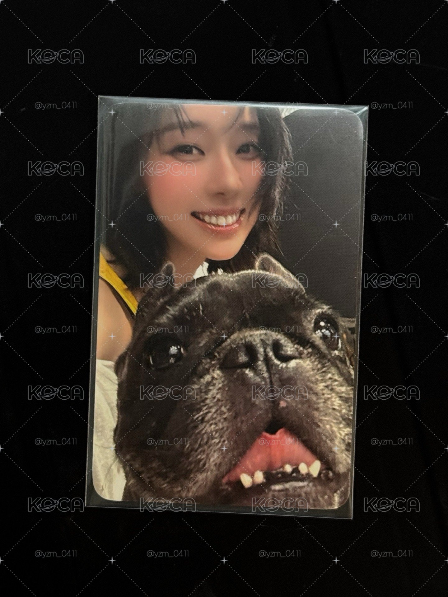冬冬與小法鬥🐶