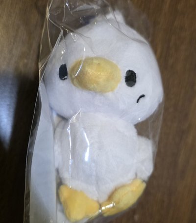 SJ 利特SS10日巡鴨鴨