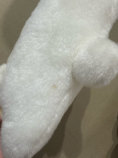 小貂胖胖卡套 無卡
