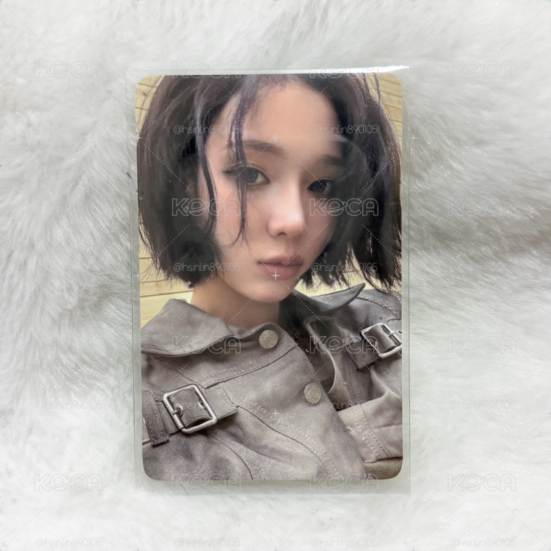 EL預售冬