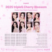 Ever01 2025 櫻花卡 347Z-349Z