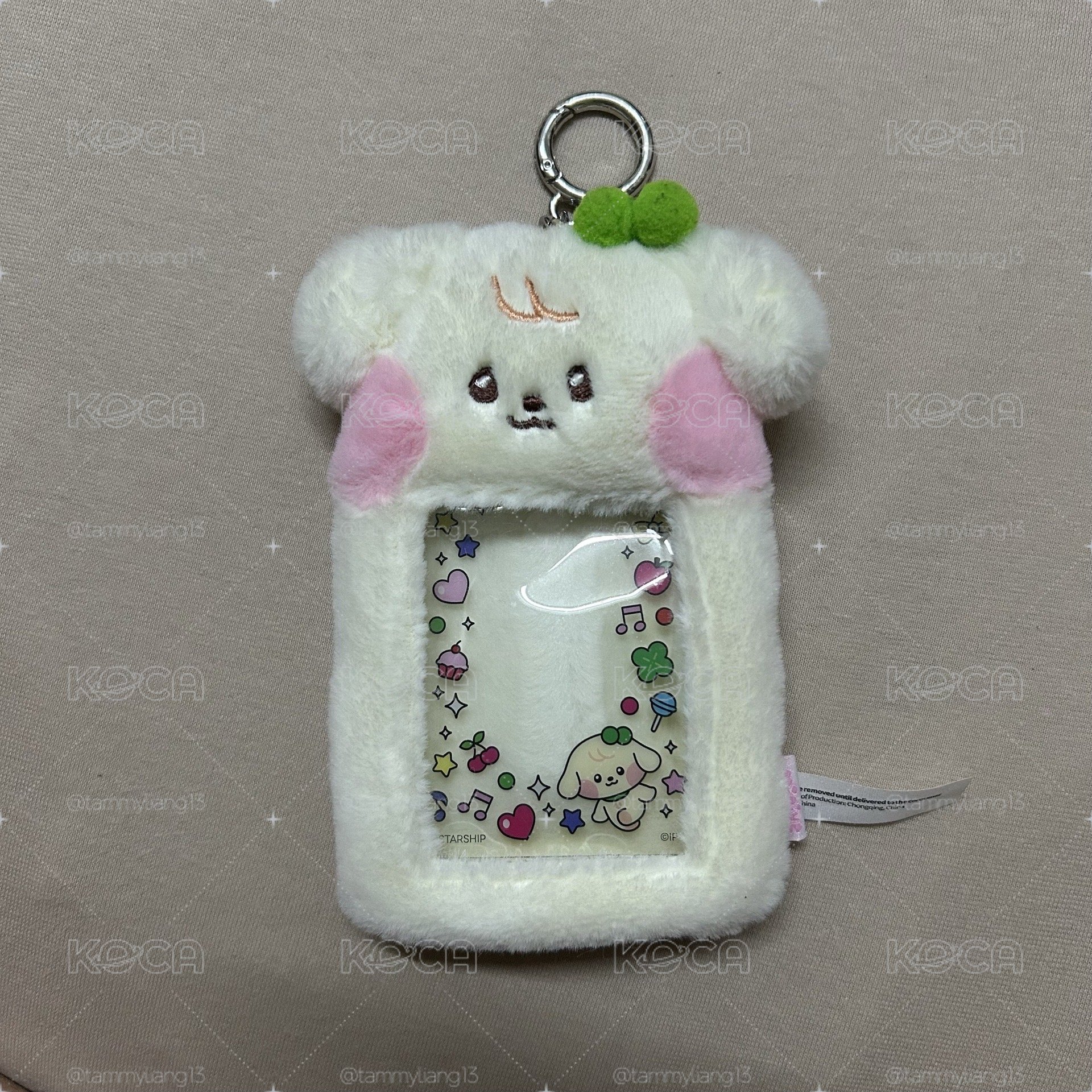 Line Friends快閃卡套 安