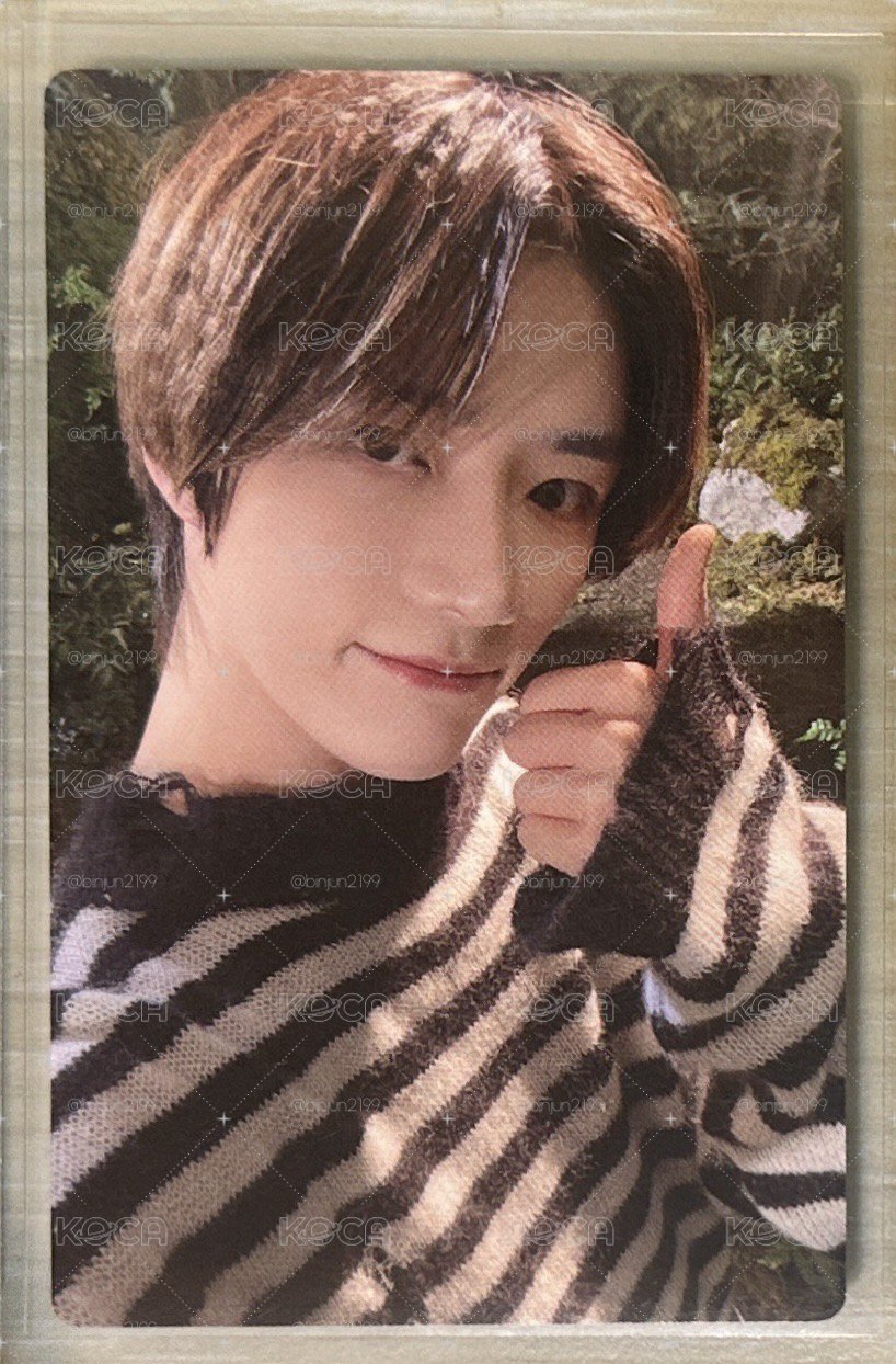 7net 特典圭