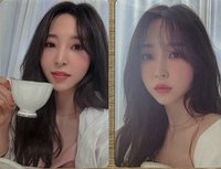 咖啡杯星