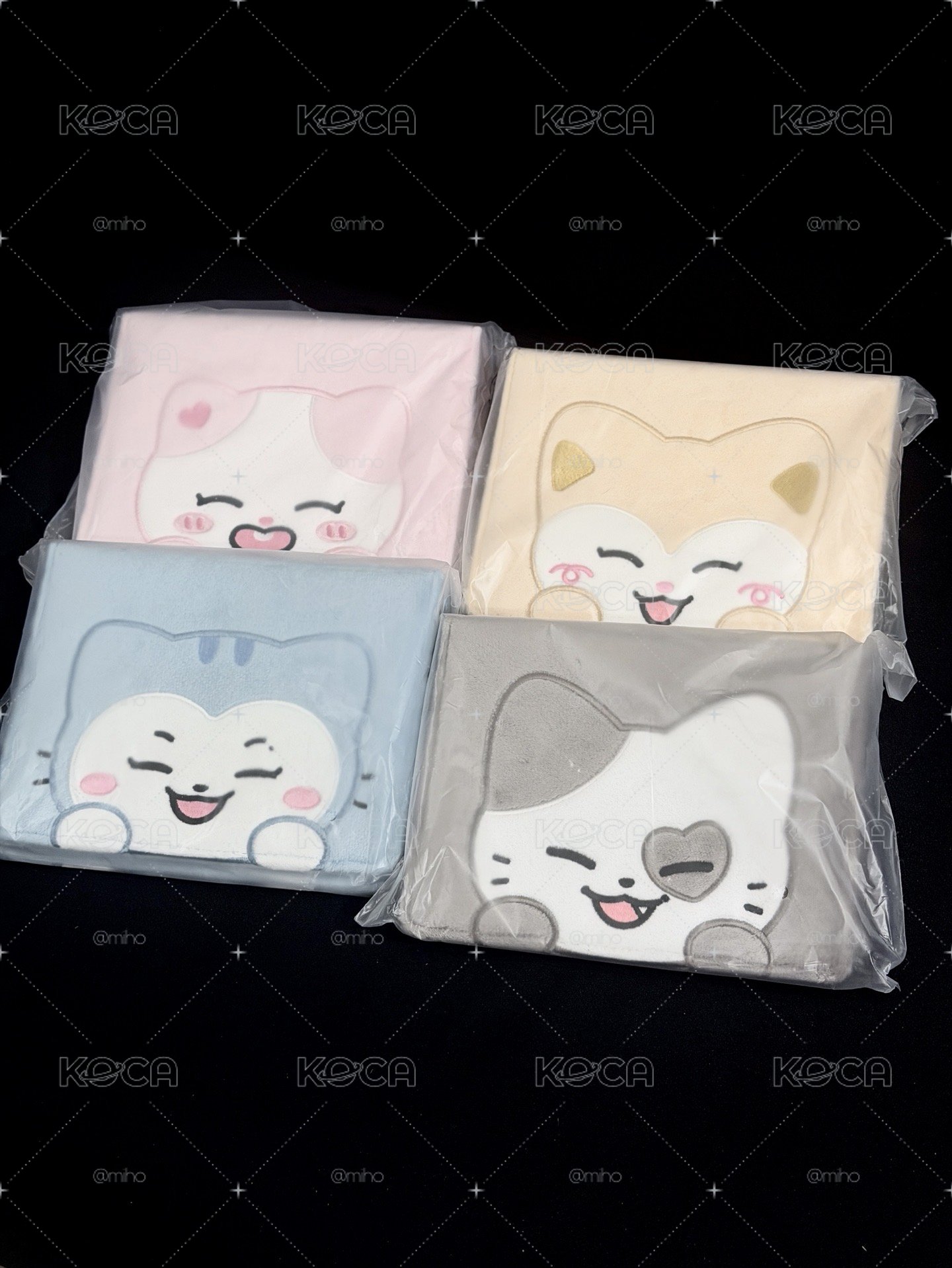 👑TWINZY 毛絨明信片卡冊