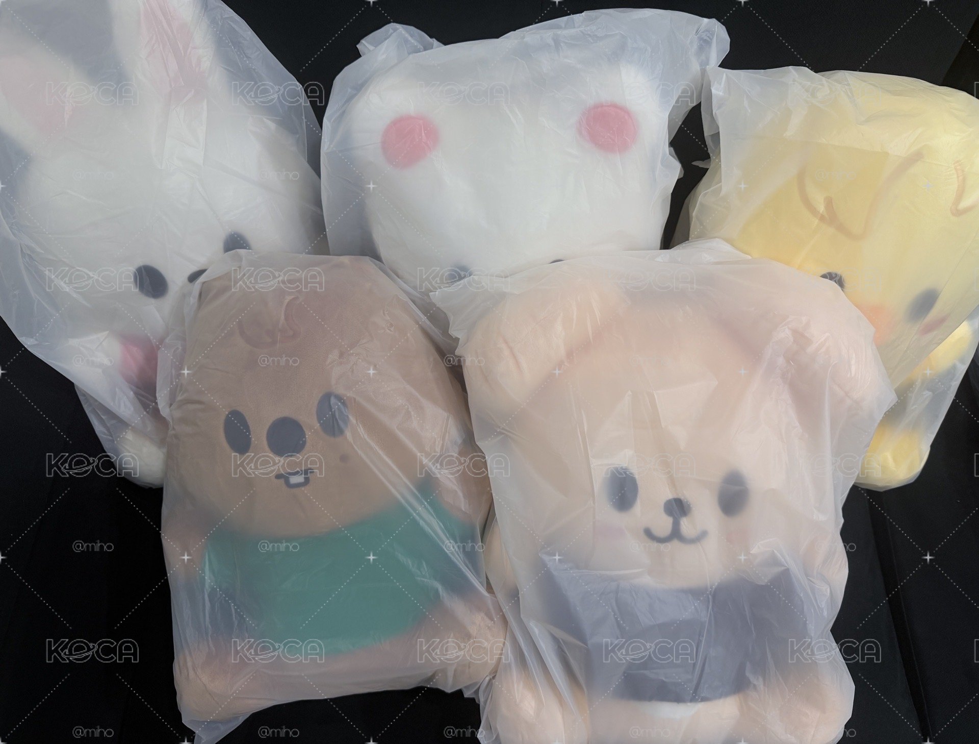 🧭SKZ 抱抱我娃💜含線上滿額一張