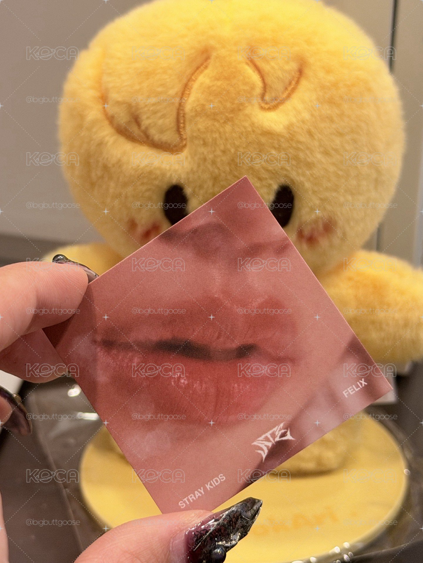 SKZ 小菲雞嘴卡
