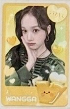 Y6