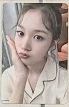 Y7