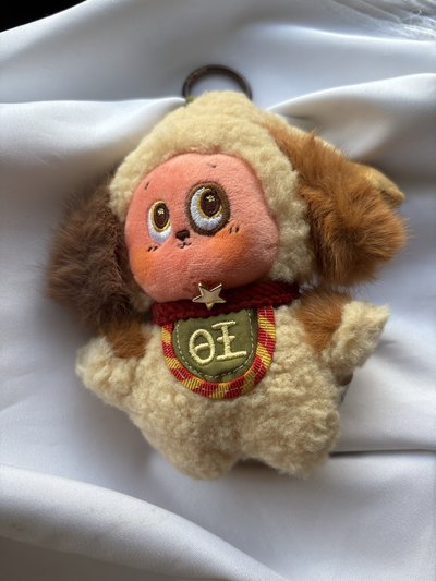 Cortis 安乾鎬同款 小狗的愛 已拆封