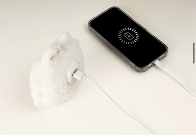 崔勇猛 行動電源 行充