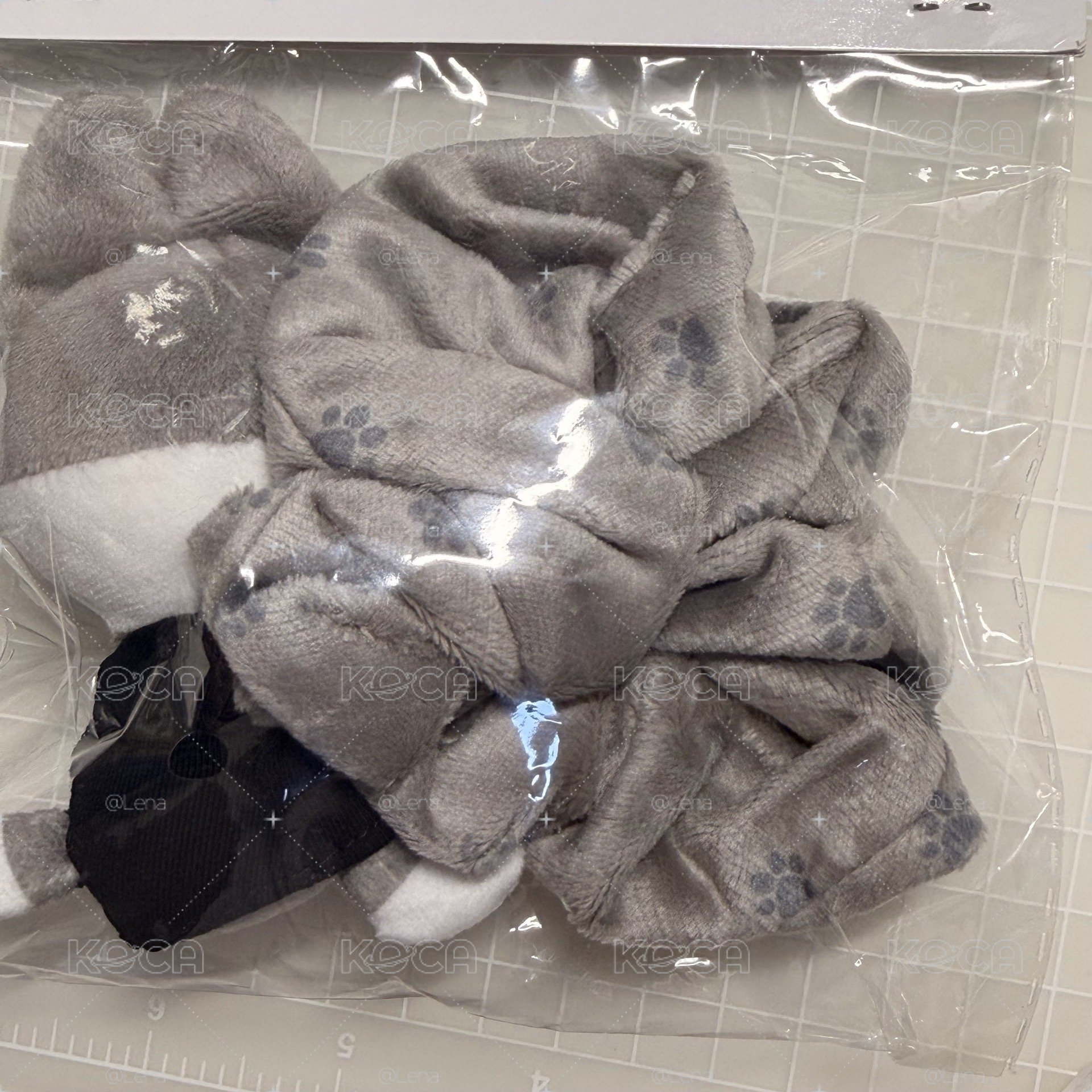 燦 日周髮圈 現貨 燦狼小腳印