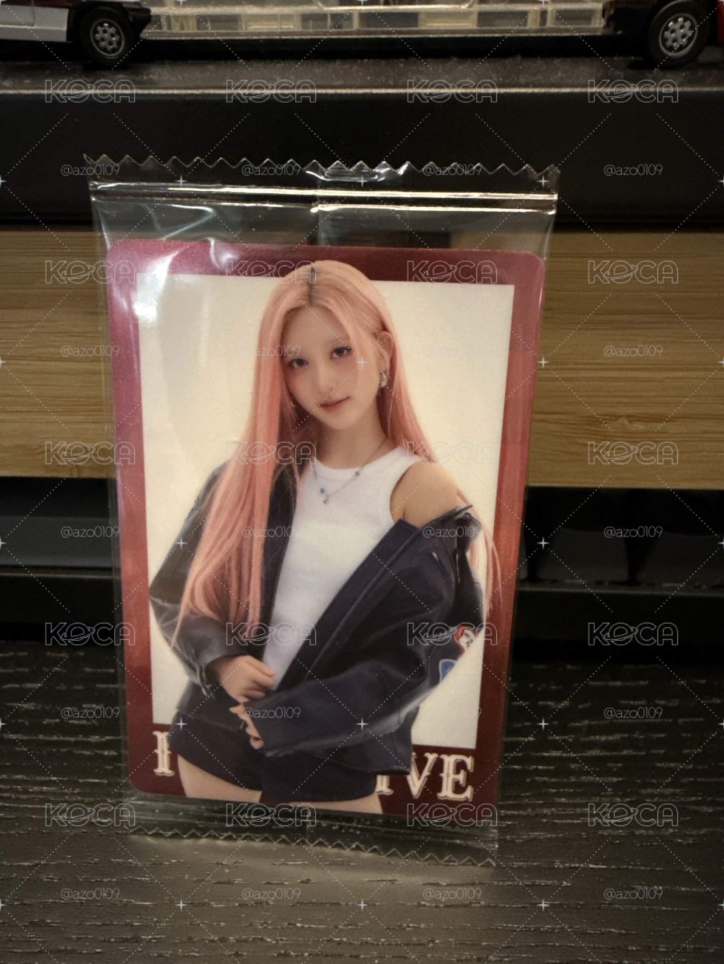 萬代第二彈 周邊卡 餅乾卡 N14秋