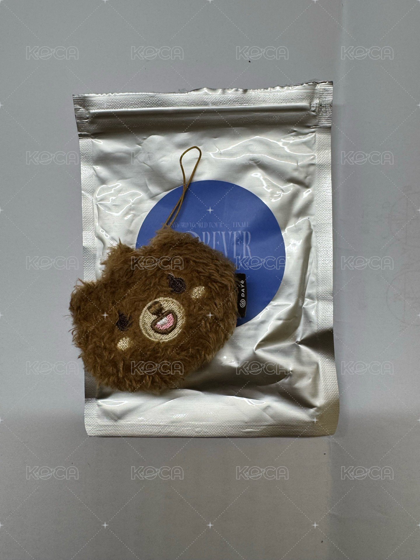 🐻隨機大頭