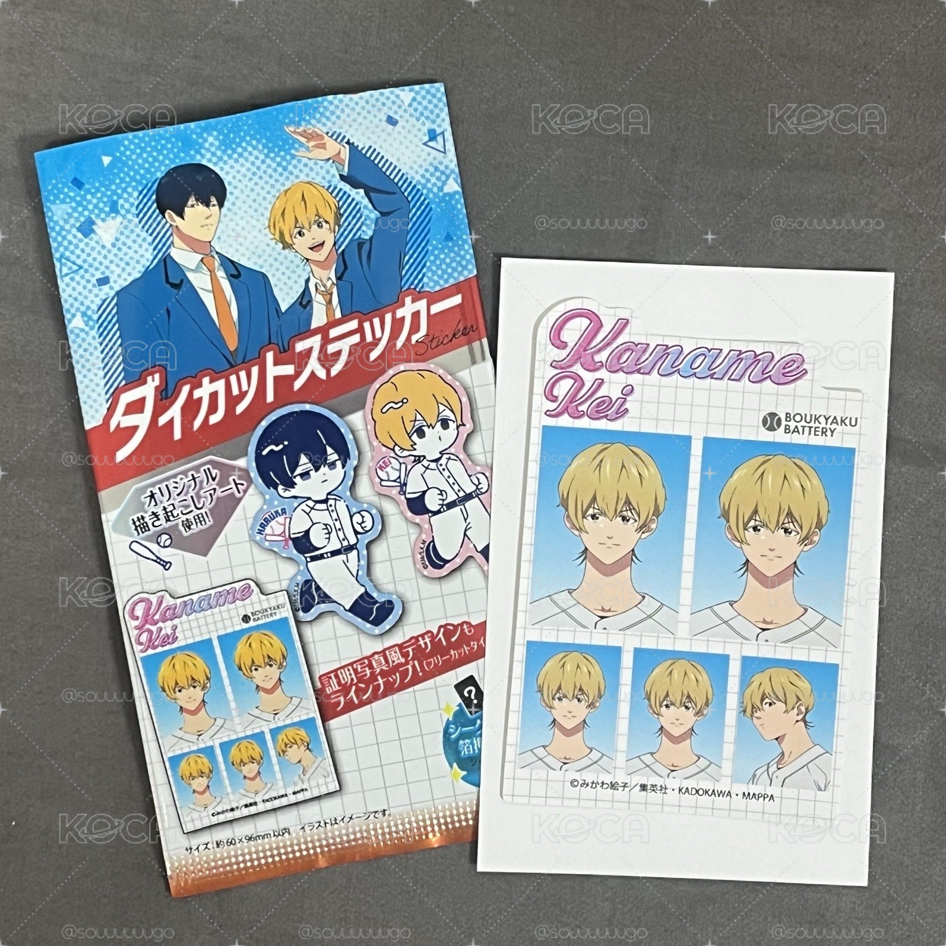 失憶投捕 證件照風貼紙［要圭］🔸