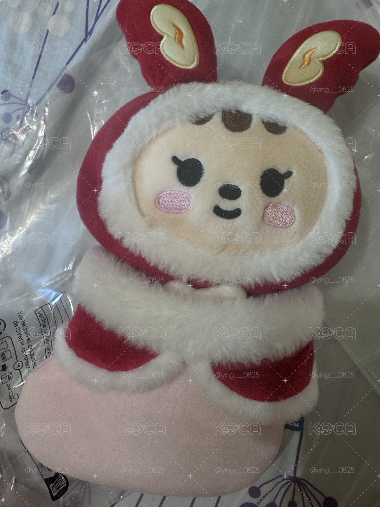 尹淨漢聖誕站娃