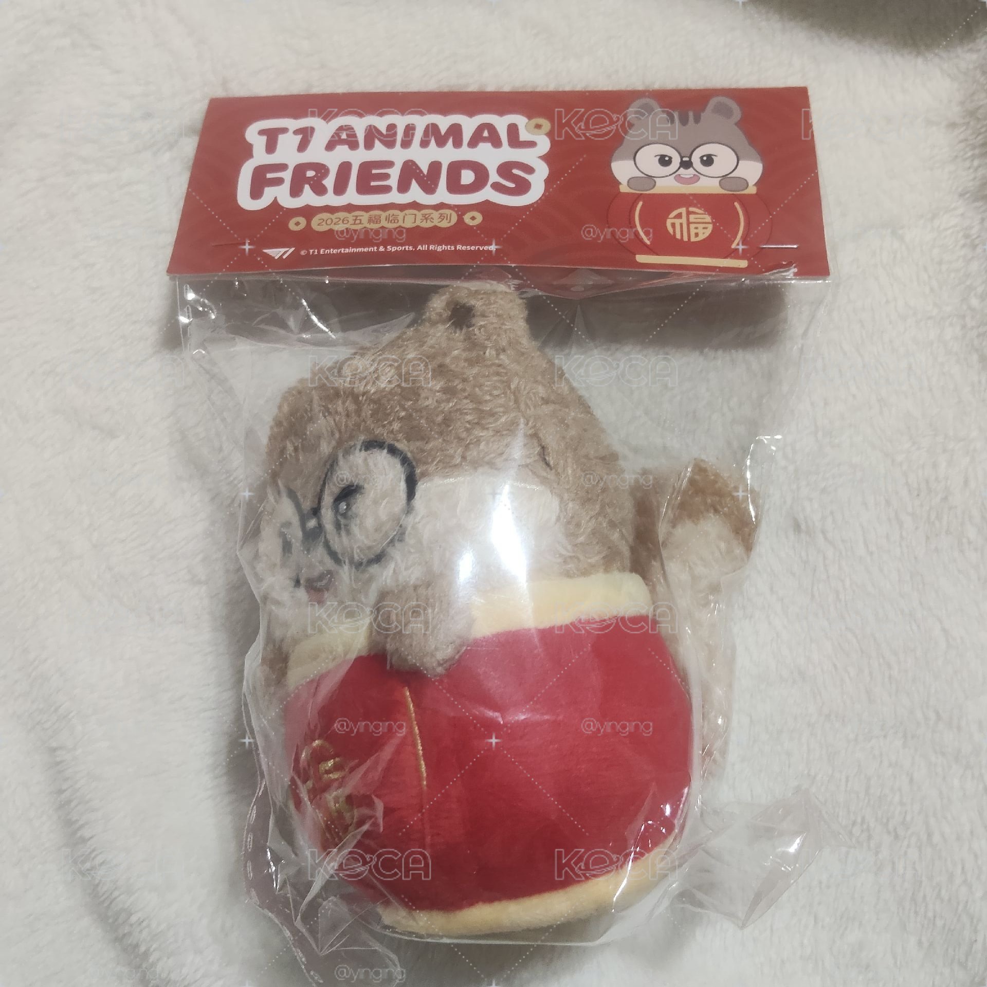 Doran新春娃