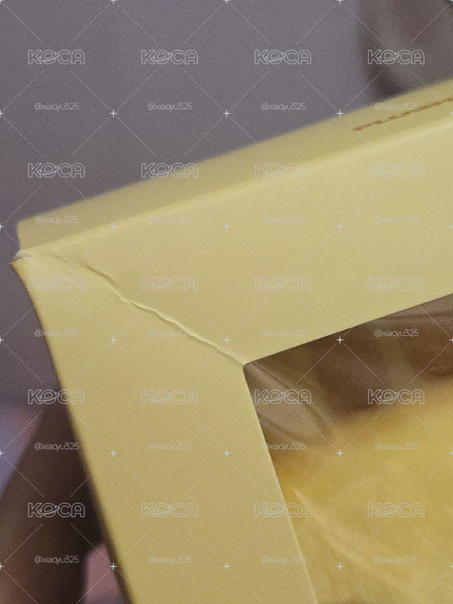 NEXZOO 大娃🐿️ 現貨 全新未拆
