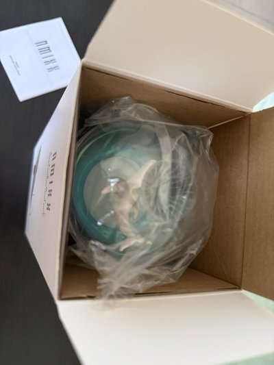 NMIXX 手燈 一代官方應援手燈