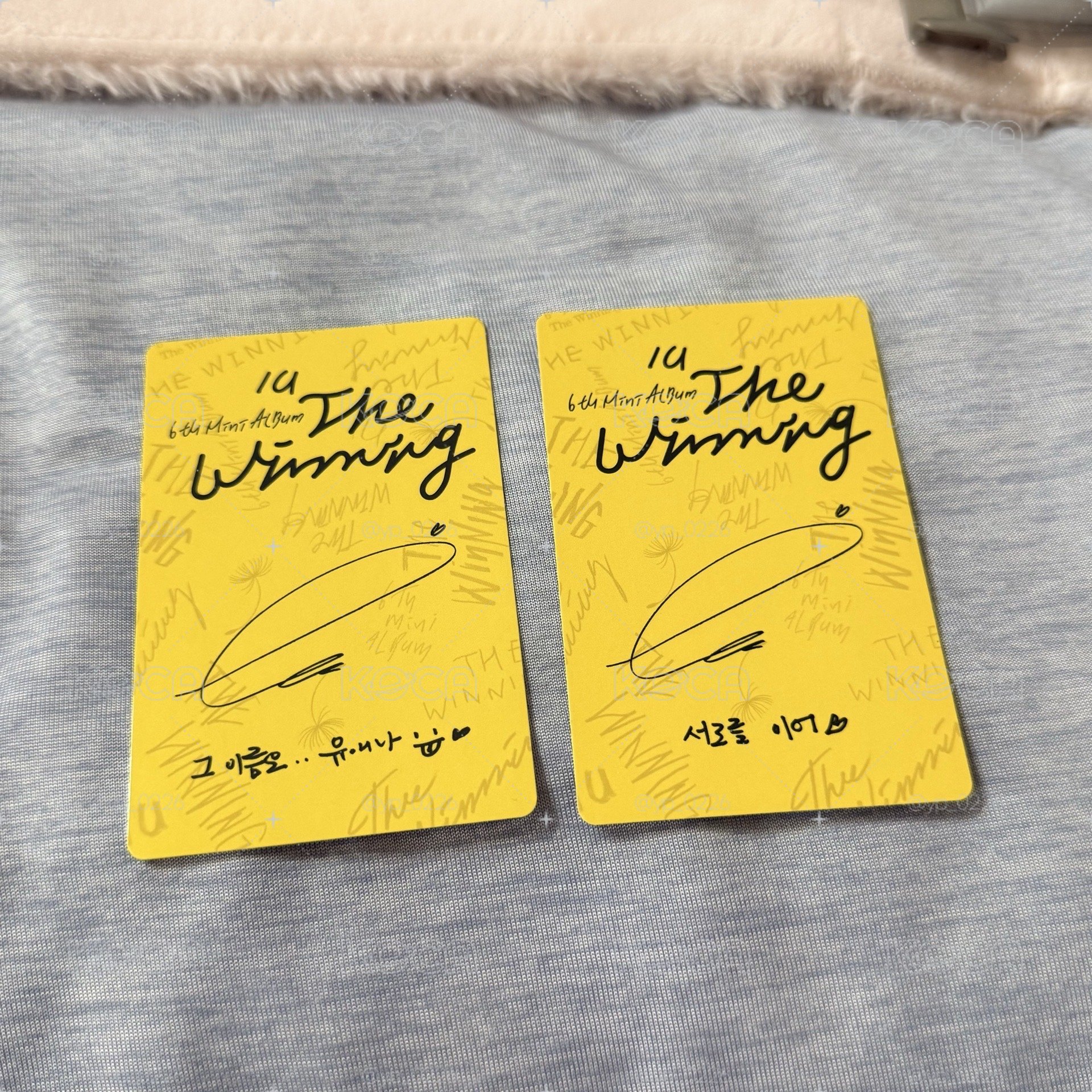 IU The Winning全專 崔弟