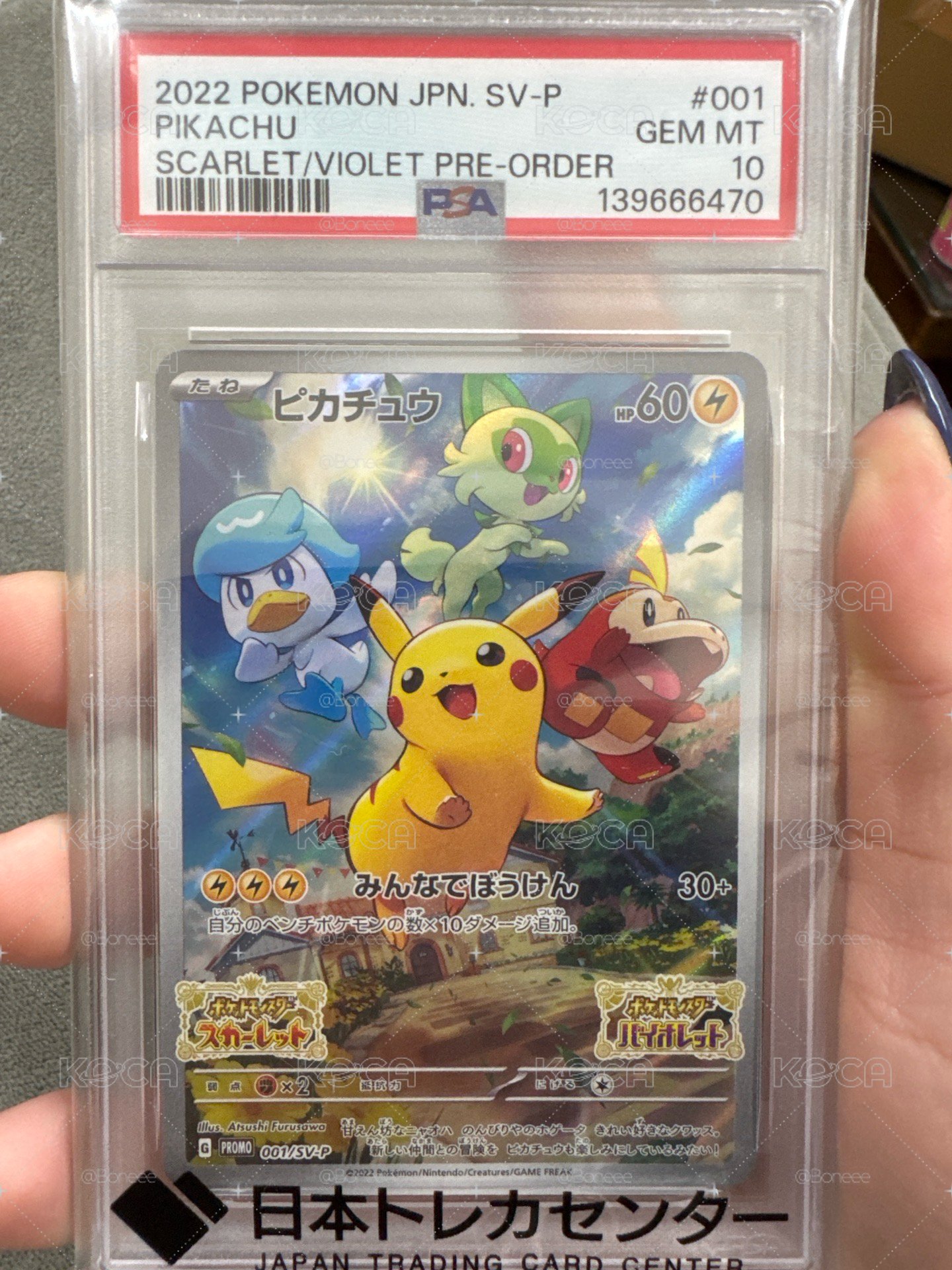 朱紫皮 psa10