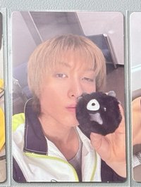 TNT馬