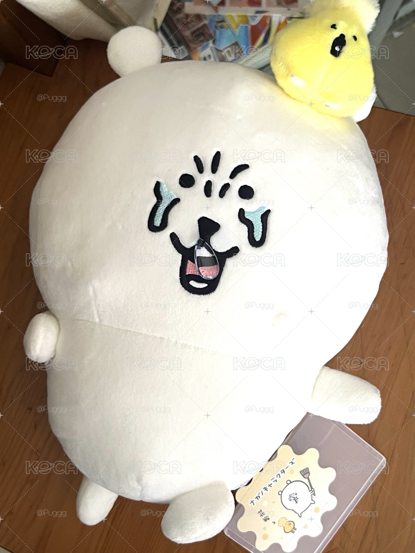 自嘲熊花粉症大娃